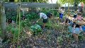 Agroecología en La Sexta: un curso inédito para huerteros con certificado y una alianza que crece