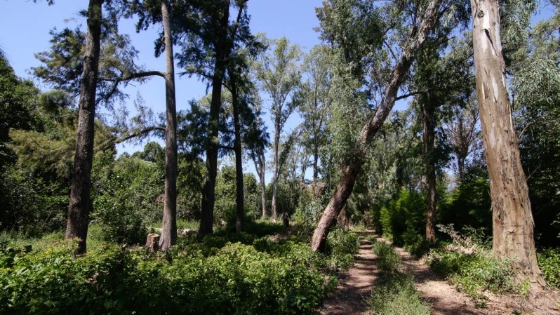 El monte Caballero en la actualidad. Un enorme espacio verde que hoy se encuentra abandonado.